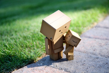 danbo